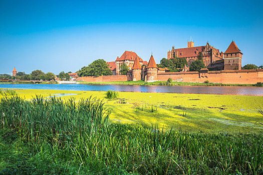 马尔堡,城堡,波兰,中世纪,要塞,建造