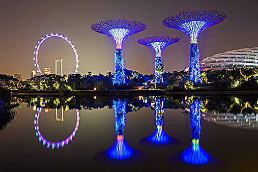 花园,湾,反射,水,夜晚,新加坡,亚洲