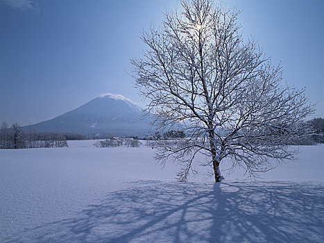 山,冬天