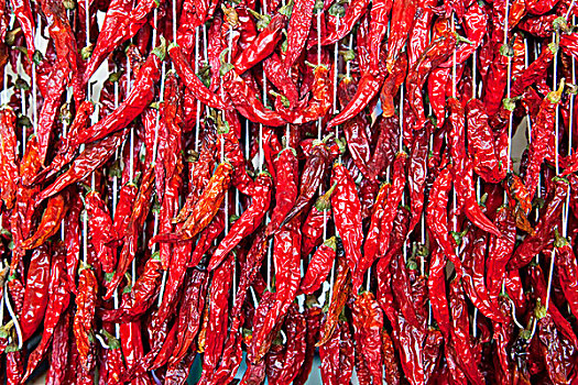 辣椒,椒,市场,丰沙尔,马德拉岛,葡萄牙,欧洲