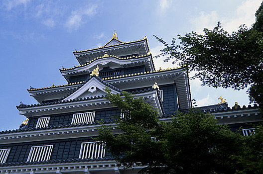 日本,冈山,城堡,特写