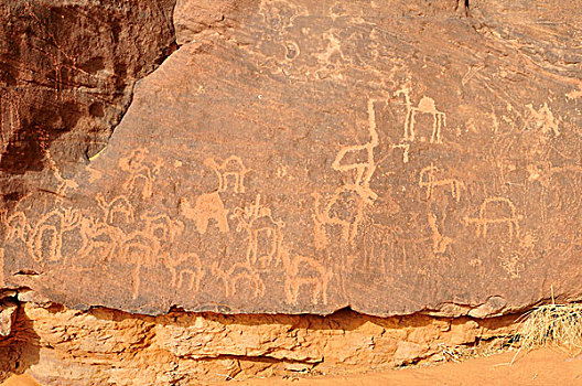骆驼,雕刻,新石器时代,石头,艺术,塔西里,国家,公园,世界遗产,阿尔及利亚,撒哈拉沙漠,北非