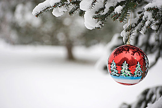 圣诞饰品,悬挂,积雪,常绿植物,枝条