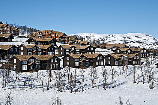 假日,屋舍,耶卢,复杂,旁侧,高山滑雪板,设施,南方,地点,冬天,积雪,山景,布斯克鲁德,挪威