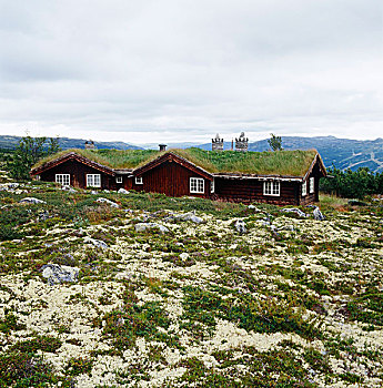 户外,墙壁,挪威,小屋,防护,外套,屋顶,遮盖,草,风景,集中供暖