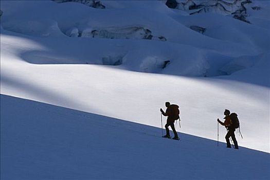 越野滑雪,阿拉斯加山脉,室内,德纳里峰,公园,冬天,景色