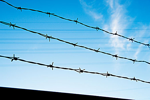 铁丝栅栏,隔绝,蓝色背景,天空