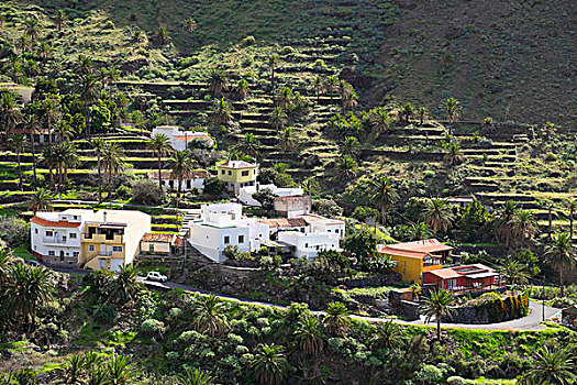 小村庄,大帝谷,加纳利群岛,西班牙,欧洲
