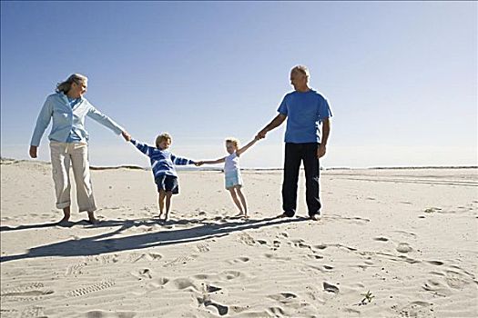 祖父母,孙辈,握手,走,海滩