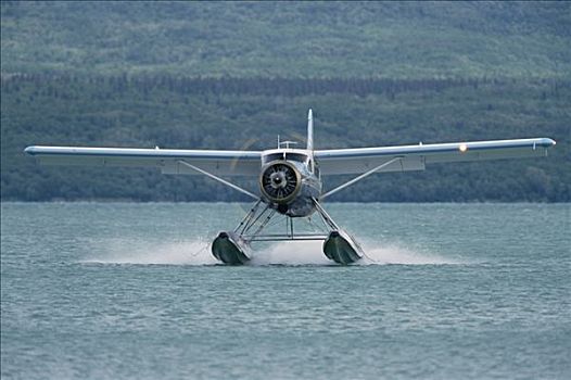 水上飞机,起飞,水,卡特麦国家公园,阿拉斯加