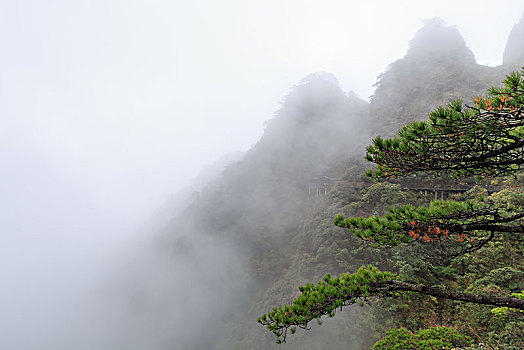 醉美三清山