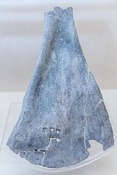 上海博物馆的商祖庚时期铸禾刻辞卜骨
