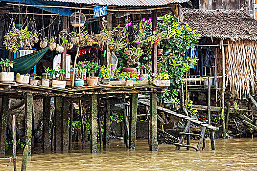 越南,湄公河三角洲,植物,兰花,装饰,阳台,房子,建造,水泥,堆放,湄公河,靠近