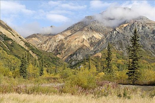 彩色,山峦,托奇那山地区,阿拉斯加,美国