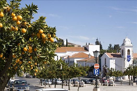 葡萄牙,小镇,橘树,上方,看,闹市街,城镇,人行道,交通标志