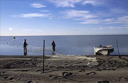 男人,渔网,湖,西伯利亚
