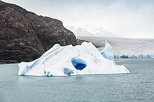 格里冰河,冰山,漂浮,湖,托雷德裴恩国家公园,智利
