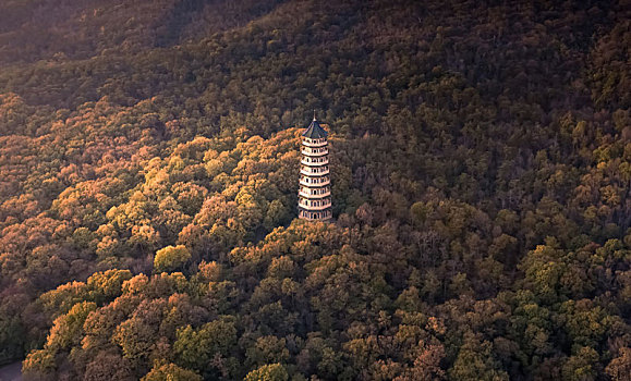 航拍秋天的南京灵谷塔
