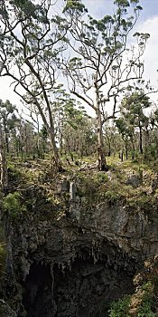 洞穴,玛格丽特河,西澳大利亚,澳大利亚