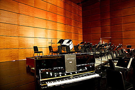 重庆大剧院演艺厅上海爱乐乐团演奏用的乐器
