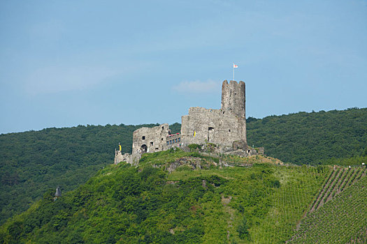 城堡,莱茵兰普法尔茨州,德国