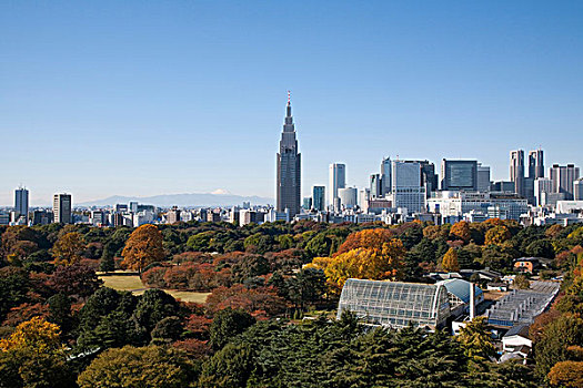 新宿,东京,日本,亚洲