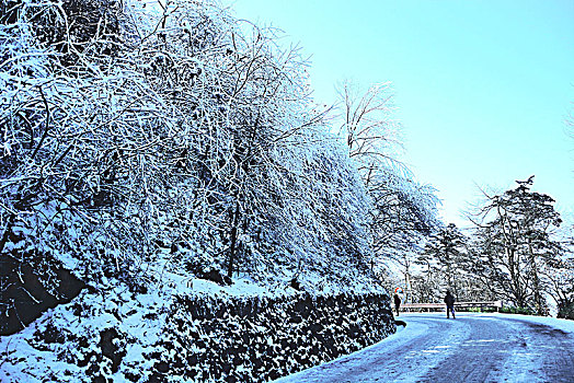 雪