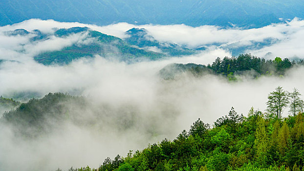 重庆酉阳,春雨时节,清晨乡村美如画卷