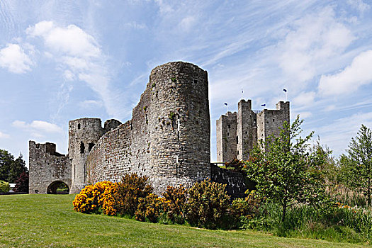 城堡,米斯郡,伦斯特,爱尔兰,欧洲