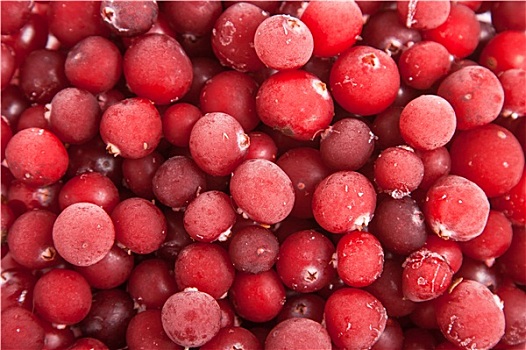 新鲜,冰冻,红色,蔓越莓