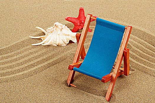 静物,海贝,海星,沙滩椅