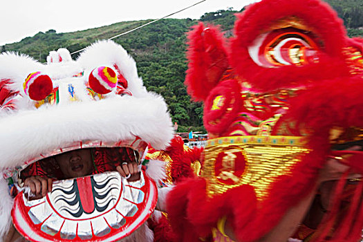 狮子,跳舞,庆贺,节日,房子,香港