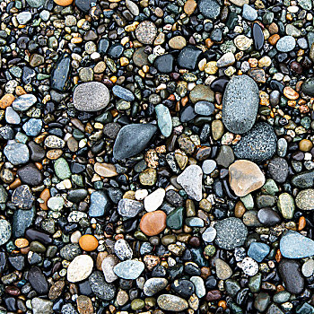 湿,石头,海滩,橡树,港口,华盛顿,美国