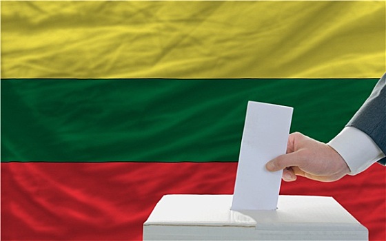 男人,投票,选举,立陶宛,正面,旗帜