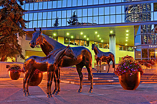 马,雕塑,卡尔加里,市政厅,艾伯塔省,加拿大
