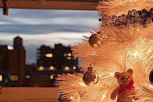 泰迪熊,圣诞装饰,圣诞树
