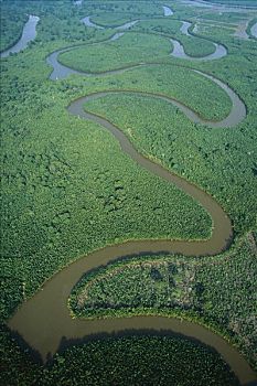 原生态,红树林,三角洲,毁坏,2001年,虾,农场,东方,加里曼丹,印度尼西亚