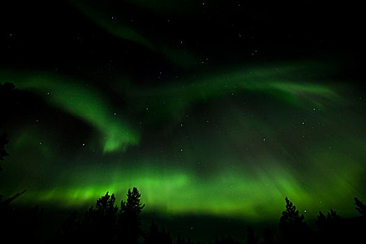 螺旋,北极光,极光,绿色,靠近,育空地区,加拿大