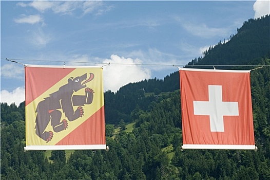 伯尔尼,瑞士,旗帜