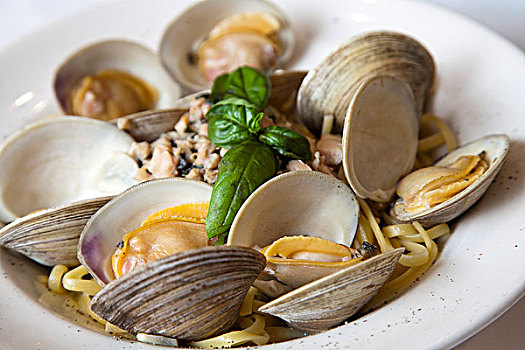 意大利扁面条,蛤蜊,酱,蛤,壳,新鲜,罗勒
