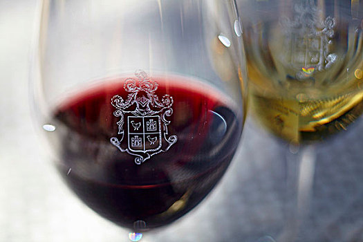 葡萄酒杯,盾徽,葡萄园,法国