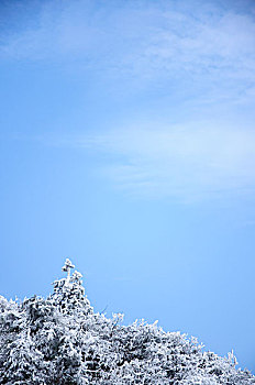 冰冻植物与蓝天白云背景
