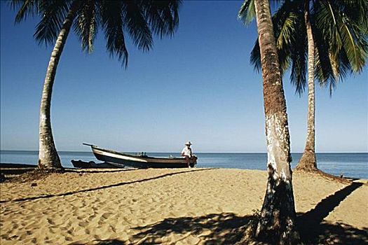 海景,沙滩,棕榈树,海滩,波多黎各
