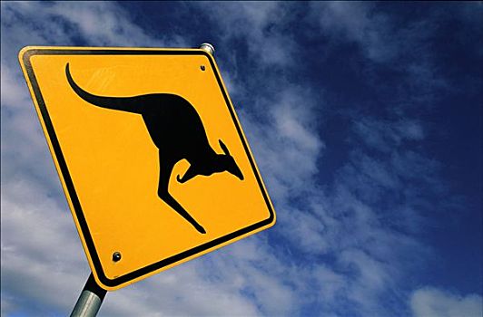 袋鼠,路标,澳大利亚