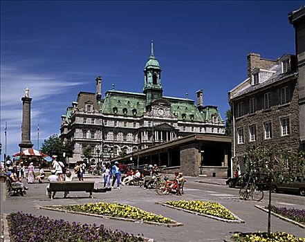 雅克卡特尔广场,市政厅,蒙特利尔,魁北克,加拿大