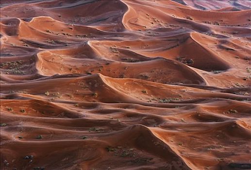 排列,沙子,沙漠