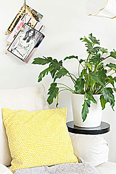 黄色,白色,图案,散落,垫子,扶手椅,靠近,盆栽,黑色背景,植物,站立