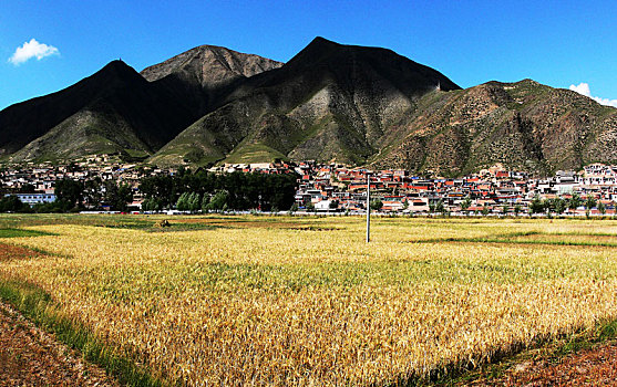 甘南夏河拉卜楞寺