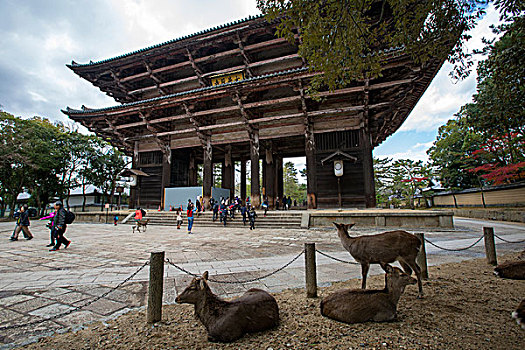 日本奈良东大寺