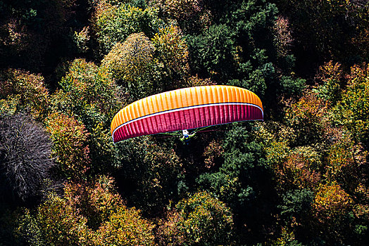 滑翔伞,上方,秋日树林,加米施帕藤基兴,航拍,巴伐利亚,德国